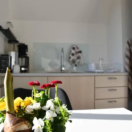 Lovely Town - Sleeps 5 Parking & Garden Apartment